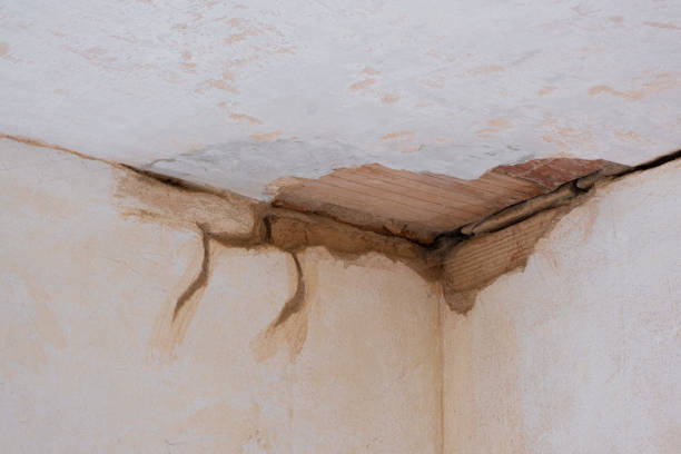 Reliable AL Water damage restoration Solutions