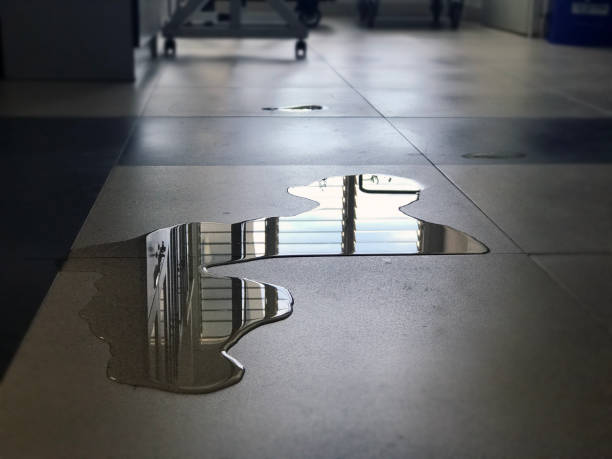 Best 24-hour water damage restoration  in Killen, AL