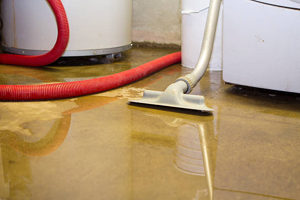 Best Emergency water damage restoration  in Killen, AL